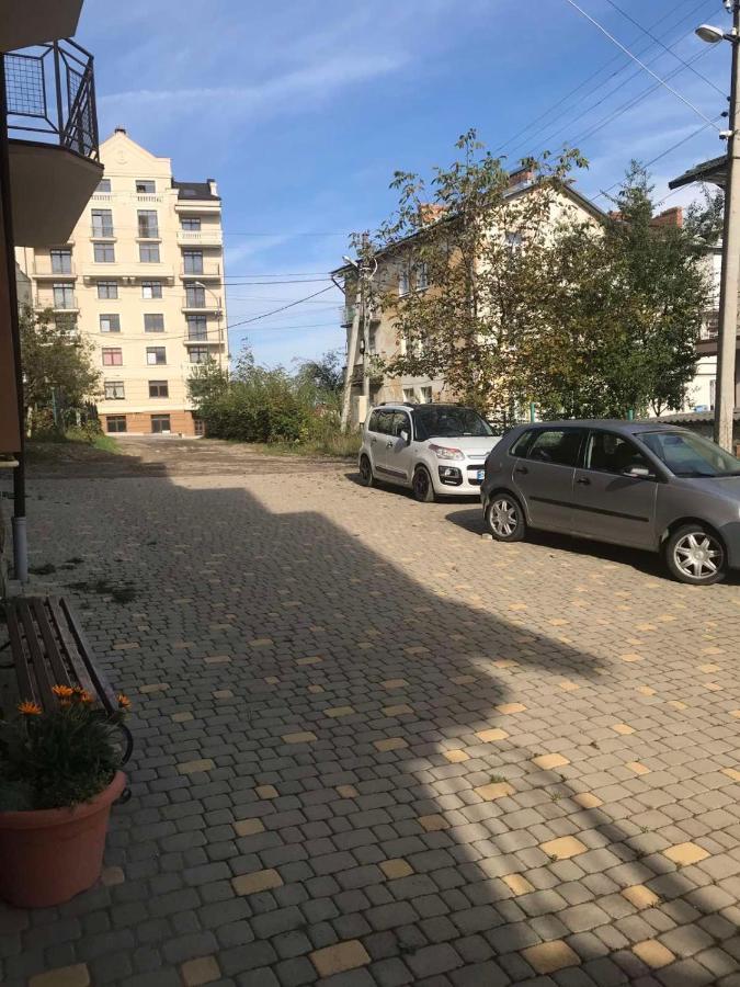 טרוסקבץ Апартаменти Студія מראה חיצוני תמונה